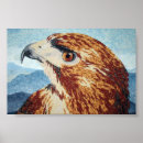 Search for red tailed hawk posters Animal