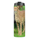 Search for cheetah photo mugs Nature