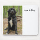 Search for newfoundland dog mousepads Animals