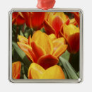 Search for outdoor christmas tree decorations Green