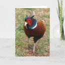 Search for pheasant cards Father