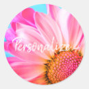 Search for cute daisy stickers Whimsical