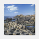Search for giant square magnets Ireland