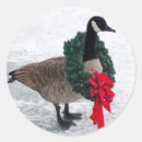 Search for canadian goose stickers Animal