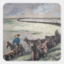 Search for longhorn cattle stickers America