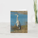 Search for blue pond cards Wildlife