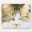 Search for pet rescue mousepads Kitty