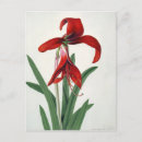 Search for study postcards Watercolour