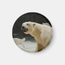 Search for endangered magnets Nature