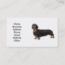 Search for dachshund dog business cards Cute