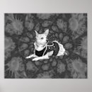 Search for chihuahuas posters Vintage