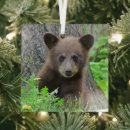 Search for animals of the wild christmas tree decorations Cute baby animal