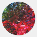 Search for autumn tree stickers Fall leaves