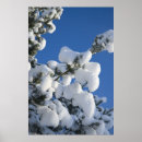 Search for cold weather posters Sky