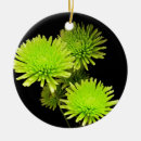 Search for spider christmas tree decorations Black