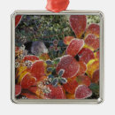 Search for denali national park christmas tree decorations Usa