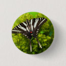 Search for north americans badges Close up