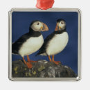 Search for puffin christmas tree decorations Pair