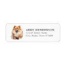 Search for pom return address labels Watercolor