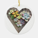 Search for succulent christmas tree decorations Plants