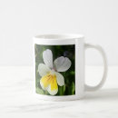 Search for violas mugs Yellow