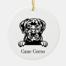 Search for cane corso christmas tree decorations Dog
