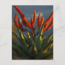 Search for foreground postcards Flower