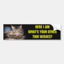 Search for kittie bumper stickers Cat
