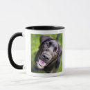 Search for anticipation mugs Looking at camera
