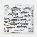 Search for zoology magnets Skull
