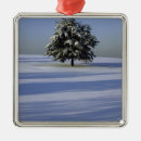 Search for covers christmas tree decorations Blue