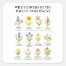 Search for pacific northwest stickers Nature