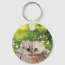 Search for persian cat key rings Feline