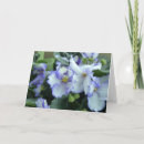 Search for african violets cards Floral