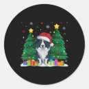 Search for border collie lover stickers Merry christmas