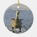Search for goose christmas tree decorations Animals