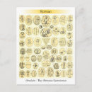 Search for gemstones postcards Vintage