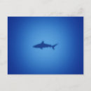 Search for blue shark postcards Animal