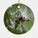 Search for bumblebee christmas tree decorations Nature