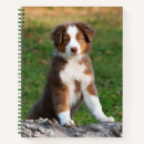 Search for australian notebooks Puppy