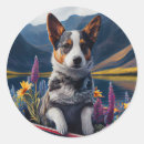 Search for heeler stickers Pet