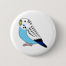 Search for parakeet badges Cartoon