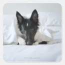Search for bedding stickers Vertical
