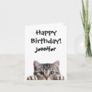 Search for tabby cat birthday cards Kitty