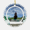 Search for horse jumping christmas tree decorations Equestrian