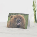 Search for grizzly bear cards Bears
