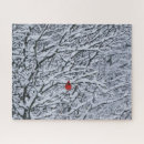 Search for big bird puzzles Snow
