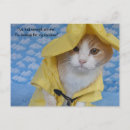 Search for yellow cat postcards Funny