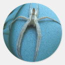 Search for scary spider stickers Nature