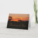 Search for red sky cards Thinking of you